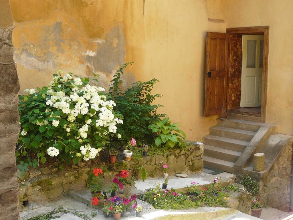 Casa Cojo Lejlighed Sighişoara Værelse billede