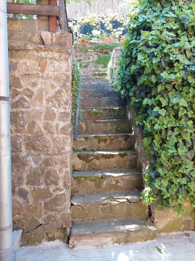 Casa Cojo Lejlighed Sighişoara Eksteriør billede